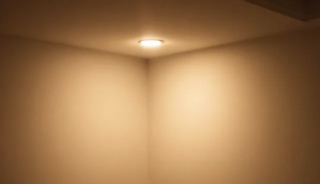 定制开发服务在应用场景中的选型与使用建议