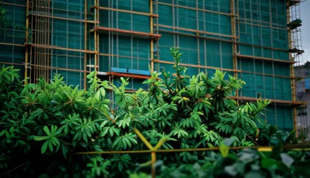 软件研发中技术支持的检查要点与性能影响